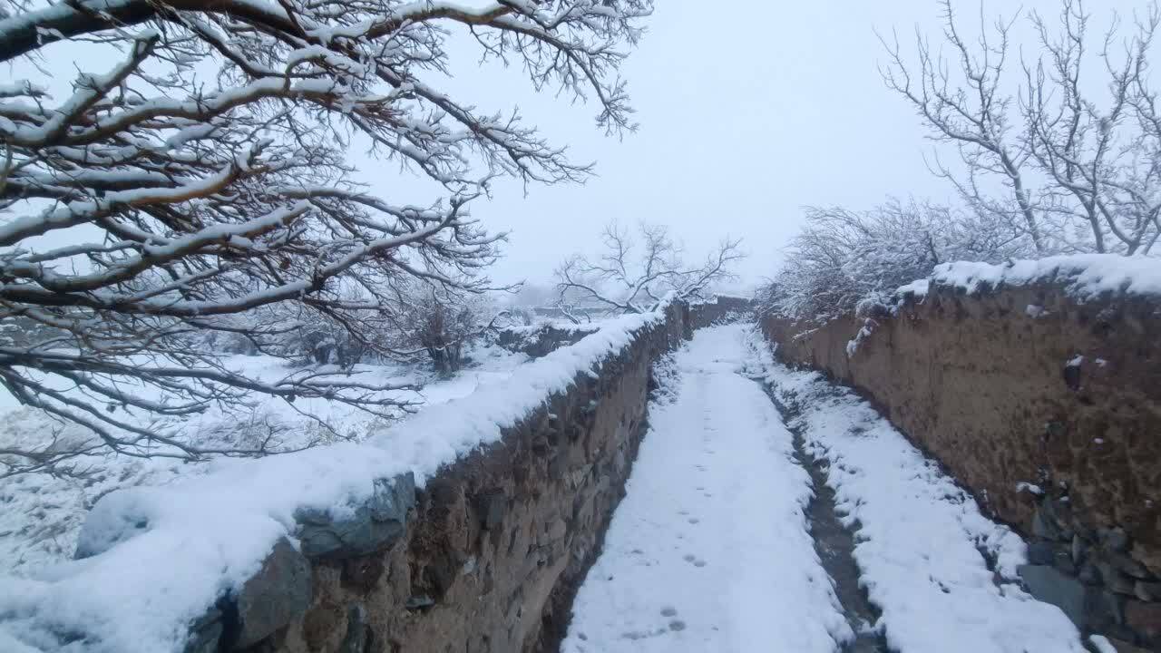 خراسان جنوبی سفیدپوش شد