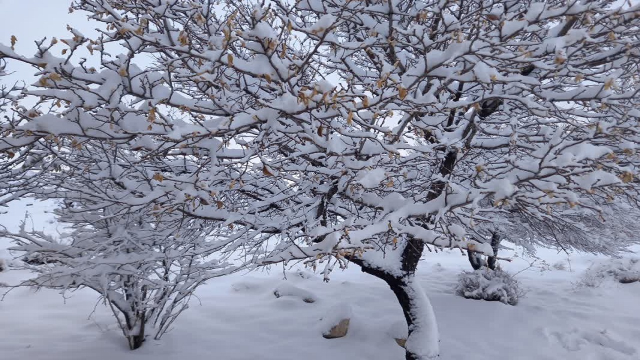 نمایی زیبا از بارش برف در روستای بشکان شهرستان بافق+تصویر