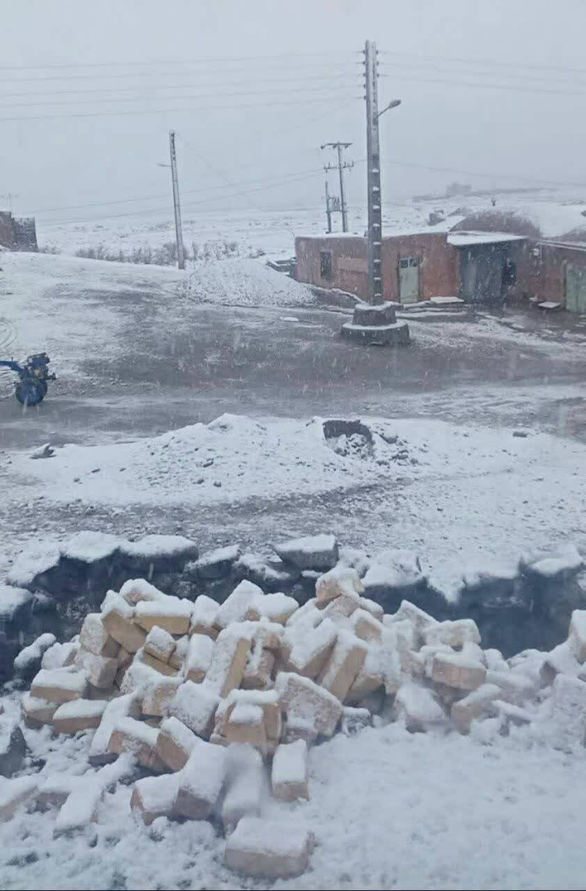روستای زری بخش