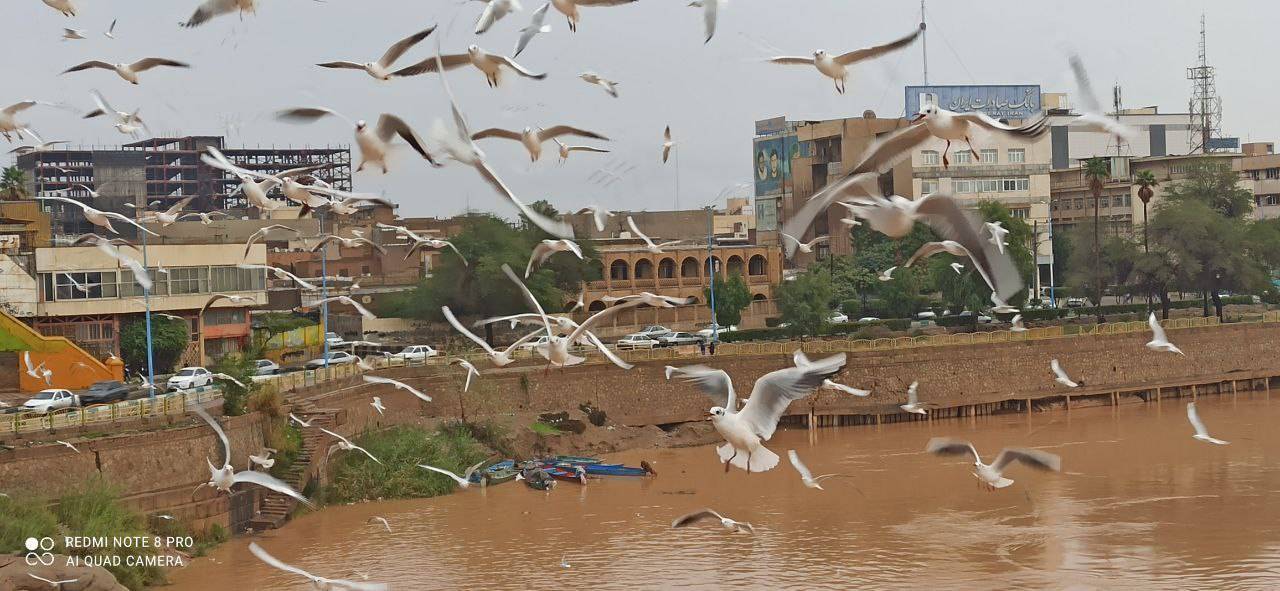 اهواز