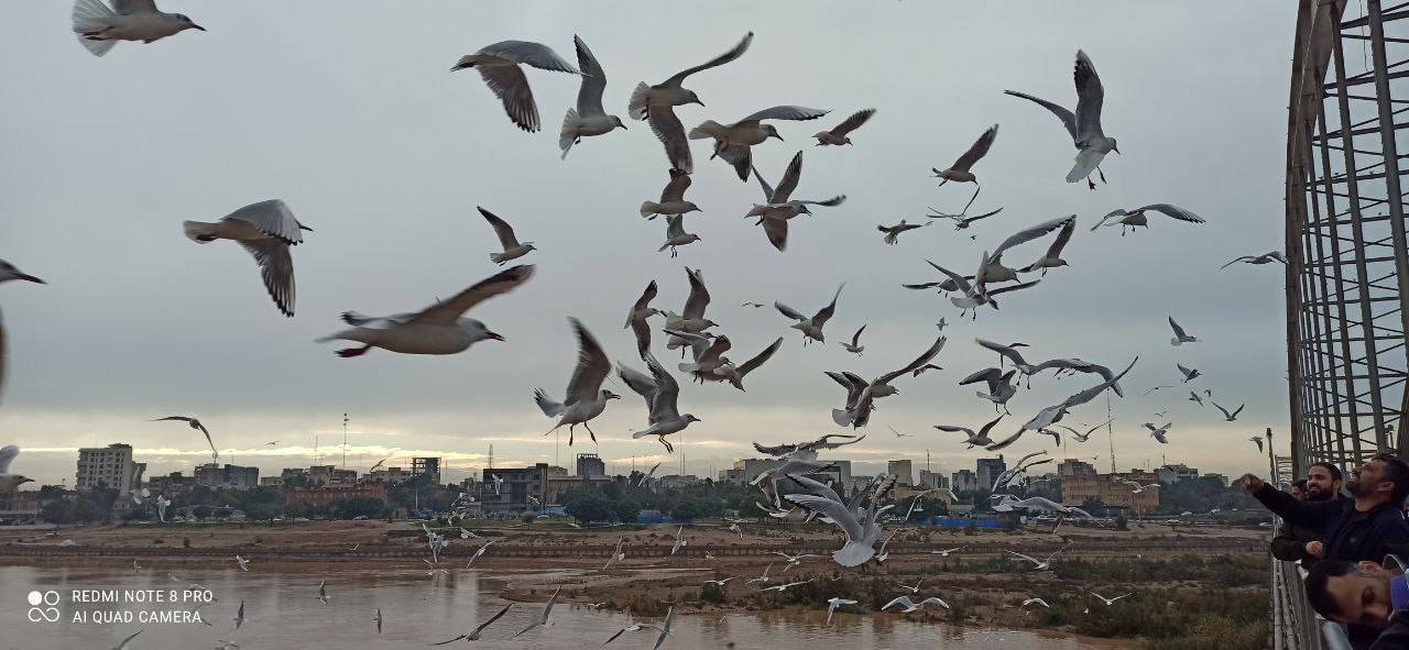 اهواز