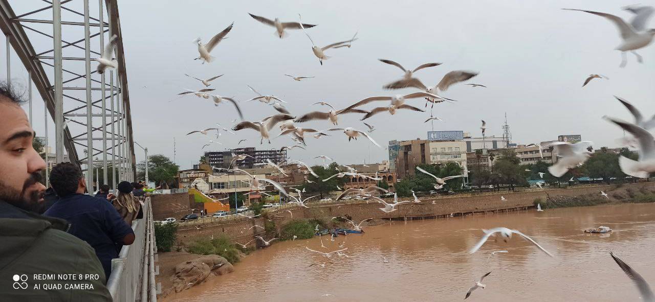 اهواز