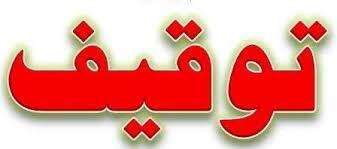 توقیف ۳۵ خودروی متخلف در سیرجان