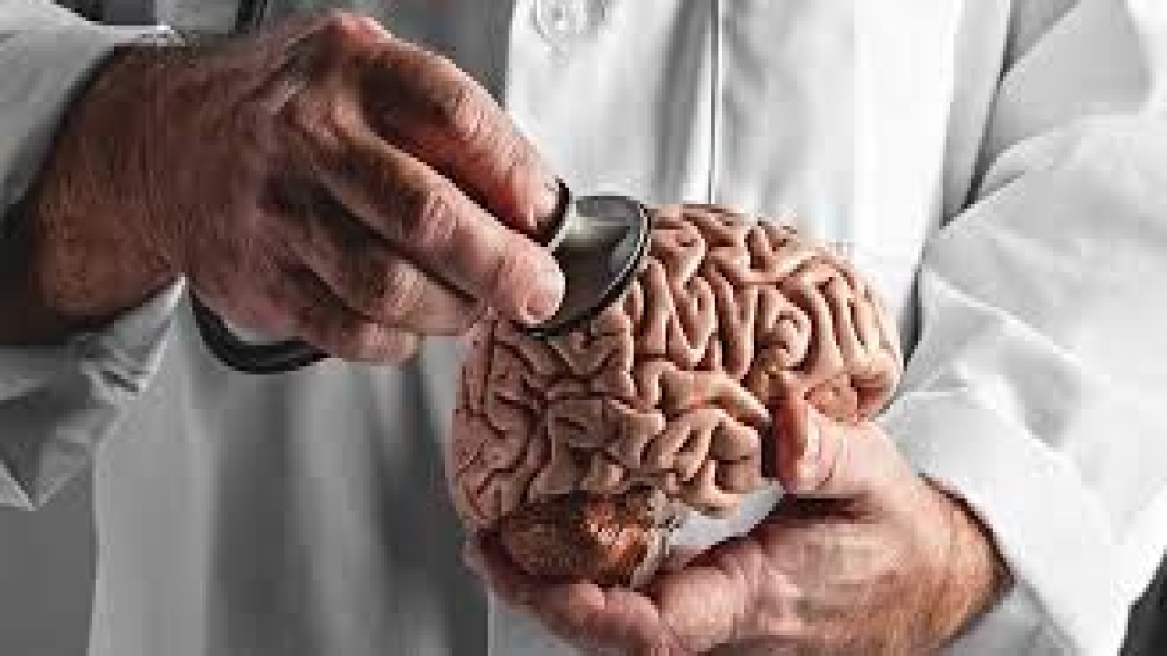 پیش‌بینی پیشرفت تومور مغزی با استفاده از یک مدل محاسباتی