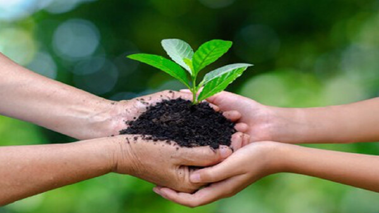 از ۸ فایده مهم چرت روزانه تا احتمال ابتلا به بیمار&zwnj;های التهاب روده با مصرف مکرر آنتی بیوتیک&zwnj;ها