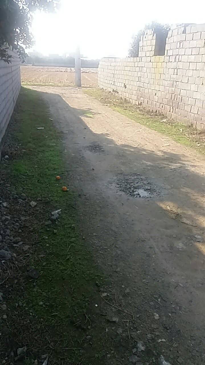 هادی شهر