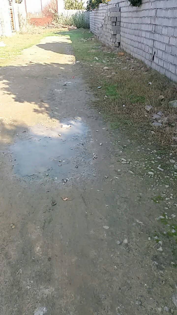 هادی شهر