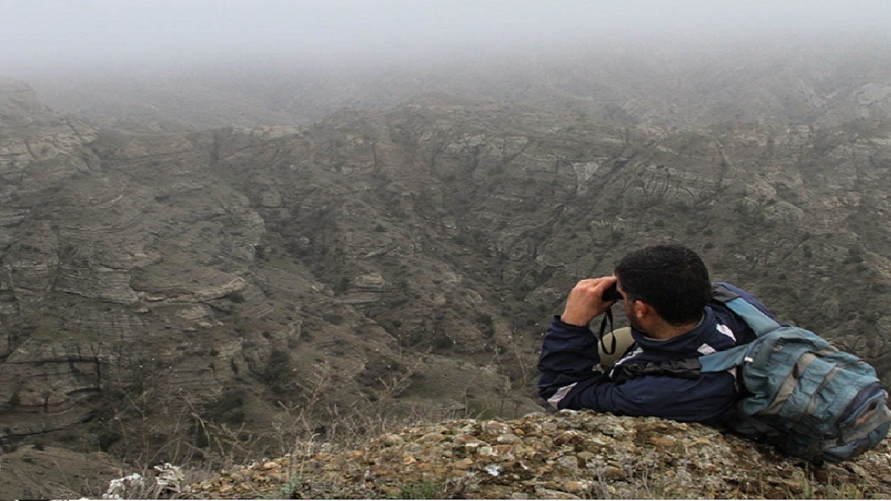 پایان سرشماری پستانداران حیات وحش سردشت