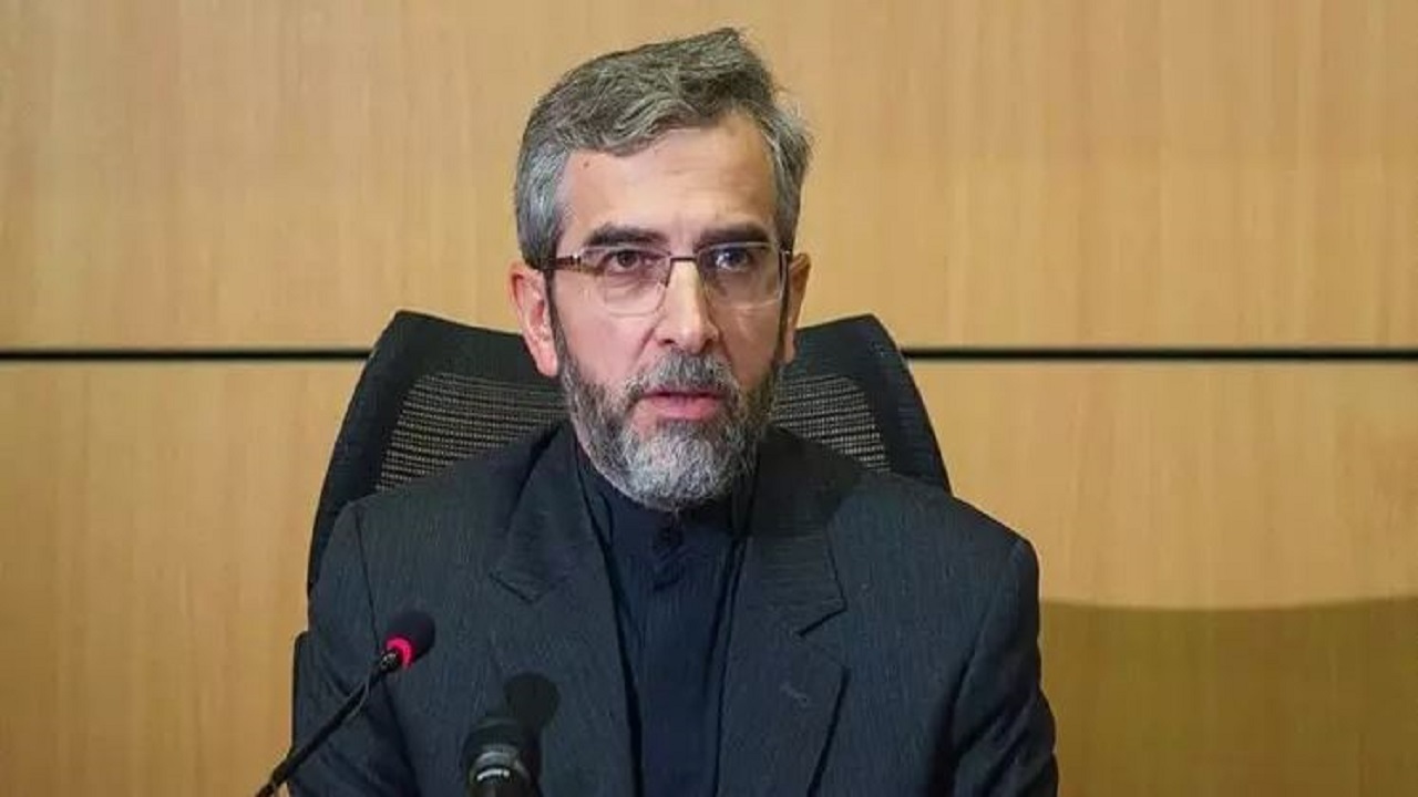 علی باقری با وزیر خارجه نیجر دیدار کرد