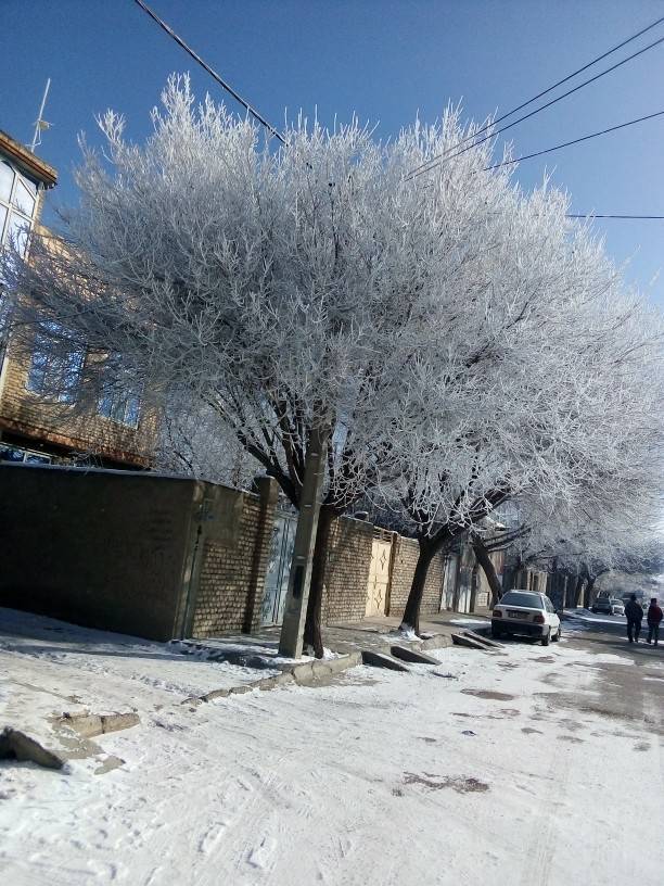 چناران