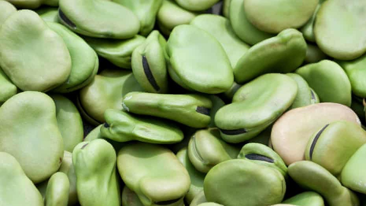 از راهکارهایی برای خداحافظی با خستگی ذهنی تا ریزش موی زودرس با مصرف یک نوشیدنی پر مصرف از راهکارهایی برای خداحافظی با خستگی ذهنی تا ریزش موی زودرس با مصرف یک نوشیدنی پر مصرف