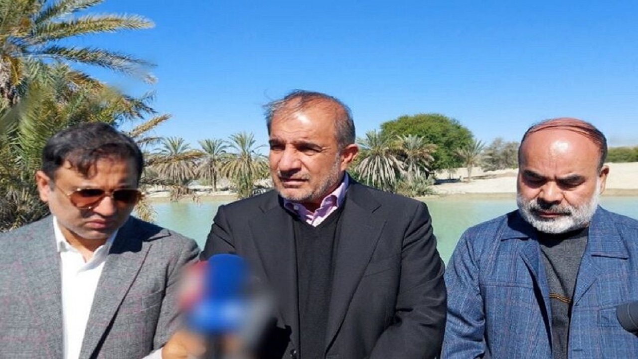 توسعه باغات موز در سیستان و بلوچستان کشور را از واردات بی‌نیاز می‌کند