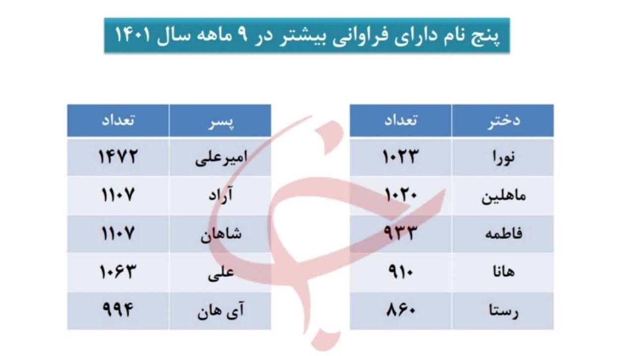 نورا و امیرعلی محبوبترین اسامی نوزادان تهرانی است