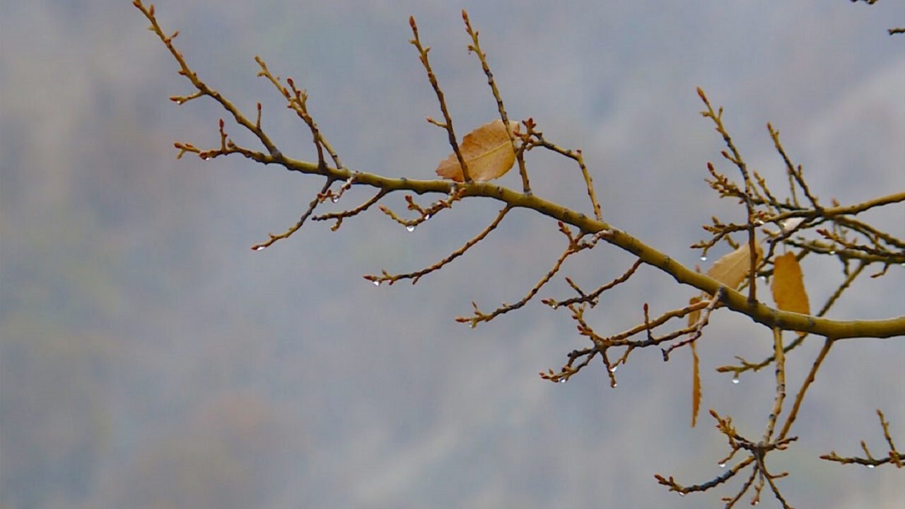 موج بارندگی جدید در راه خوزستان