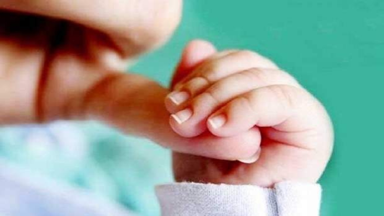 تولد ۱۴۰ نوزاد مشهدی در ۱۴۰۱/۱۰/۰۱