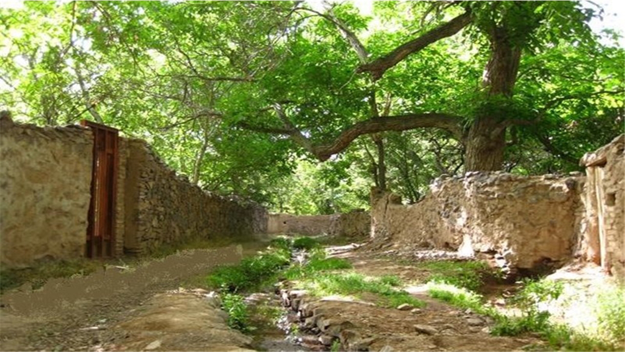 چوب حراج به باغات شیراز به بهانه توسعه مراکز درمانی و گردشگری