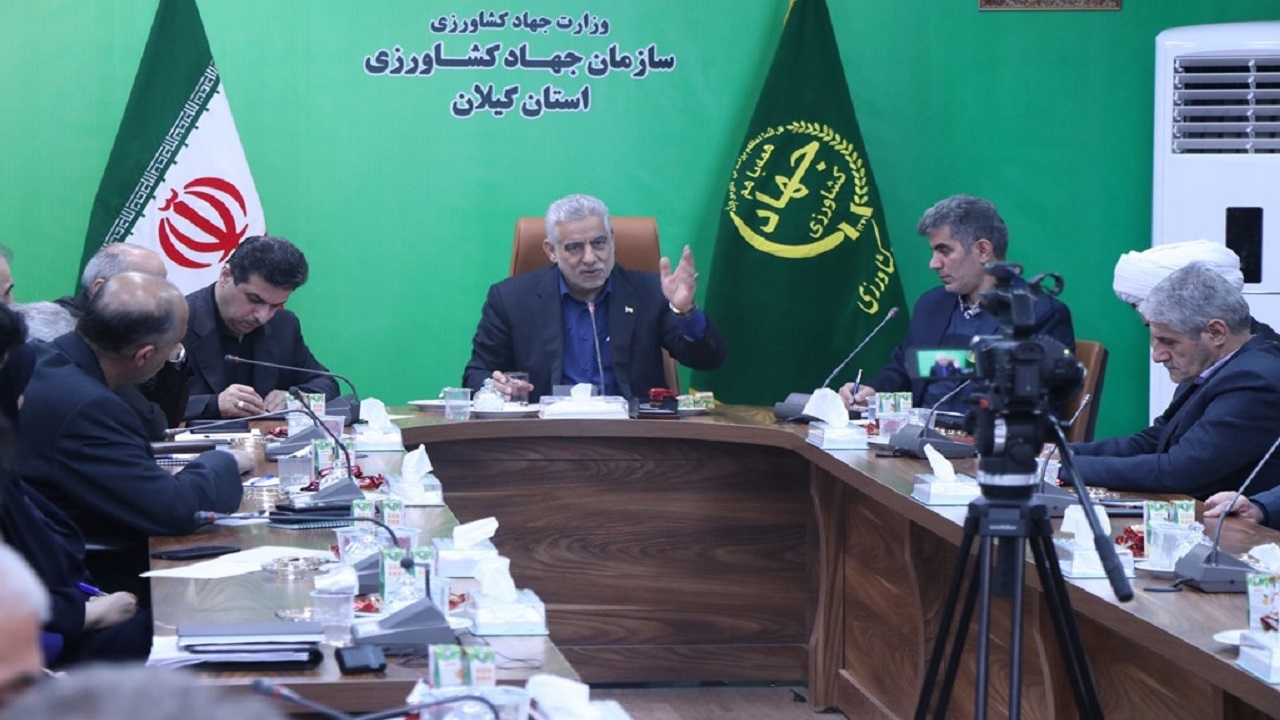 دست دلالان از بازار برنج کوتاه شود