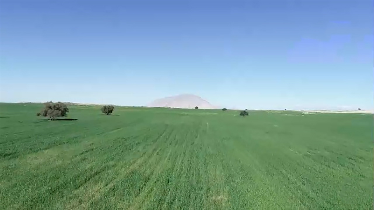 معرفی روستای آب توت در گچساران + فیلم