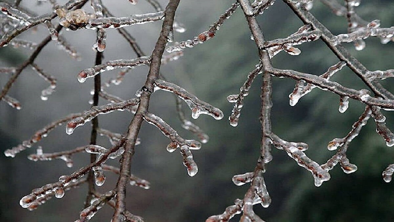 پیش بینی آسمان ابری همراه با بارش برف در ارتفاعات استان سمنان