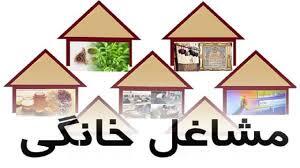 ۴۵۰۰ مجوز مشاغل خانگی در بوشهر صادر شد