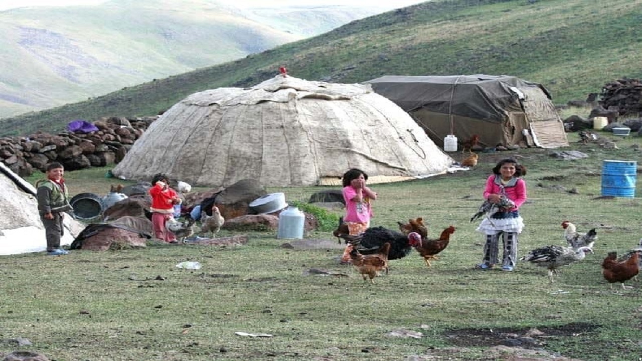 آغاز طرح پوشش بیمه‌ای عشایر استان قزوین