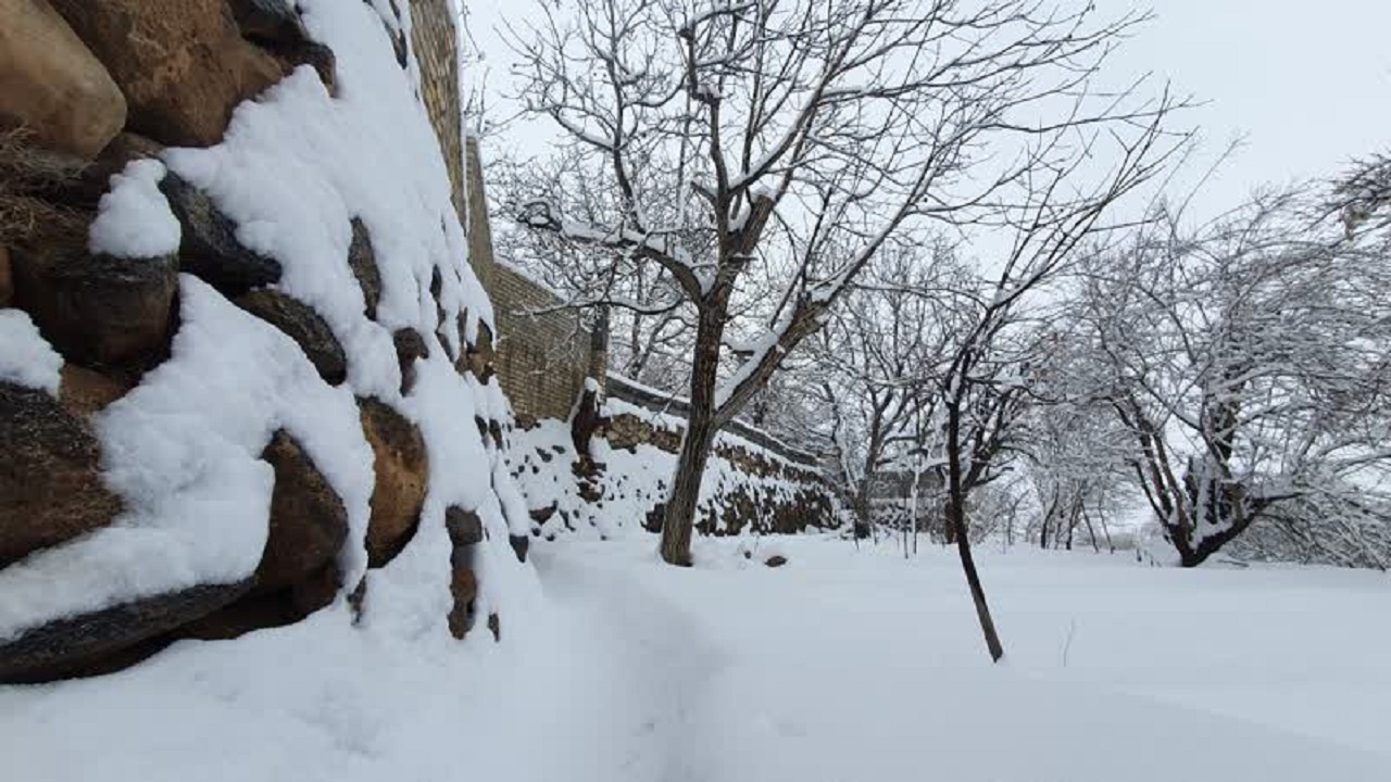 بارش برف در روستای دره شیر یزد+ تصاویر