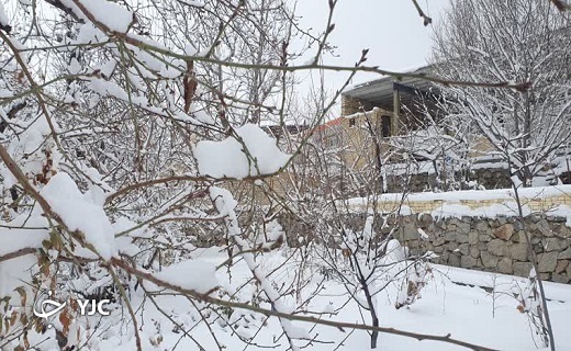 بارش برف در روستای دره شیر یزد+ تصاویر