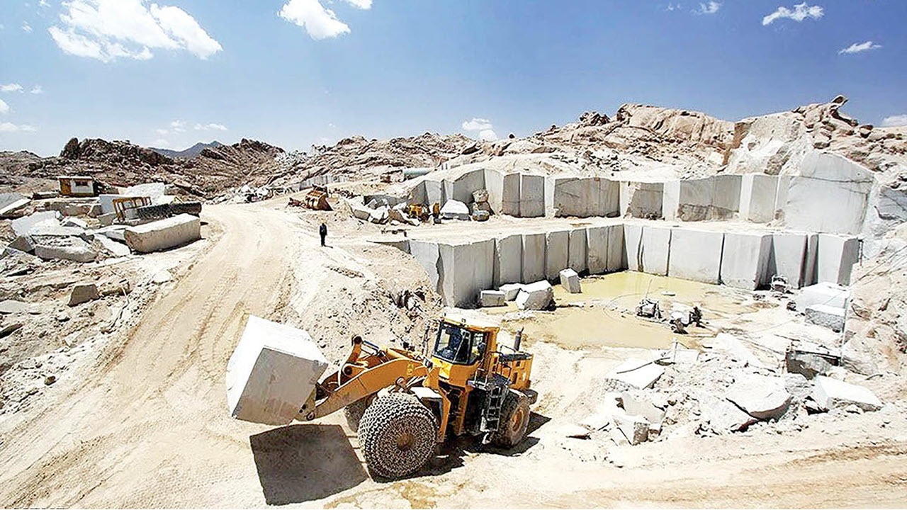 چنگال تیز بولدوزر‌های معدنکاوی روی گردن یوزپلنگ‌ها