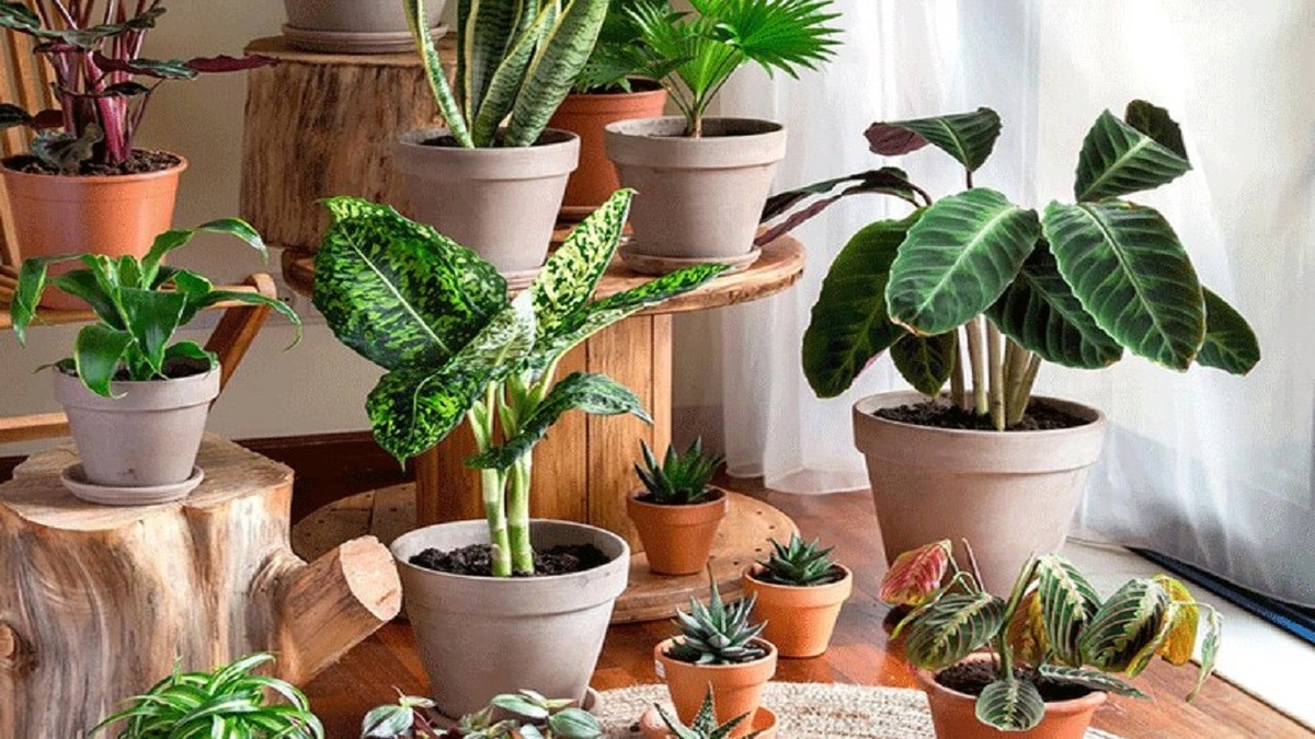 آموزش درست کردن اسنک خرما + فیلم