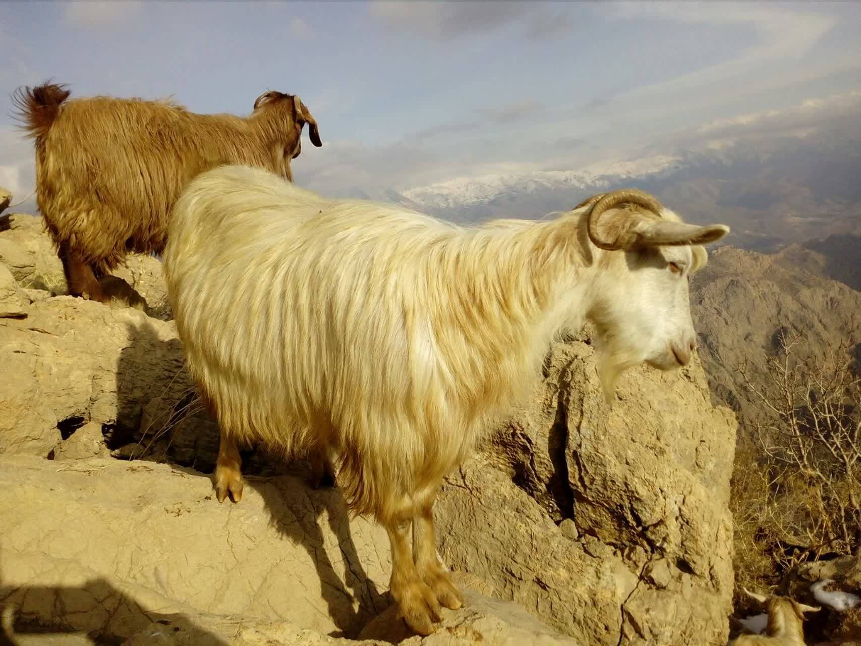 تصاویری ناب از روستای بندول به روایت تصاویر