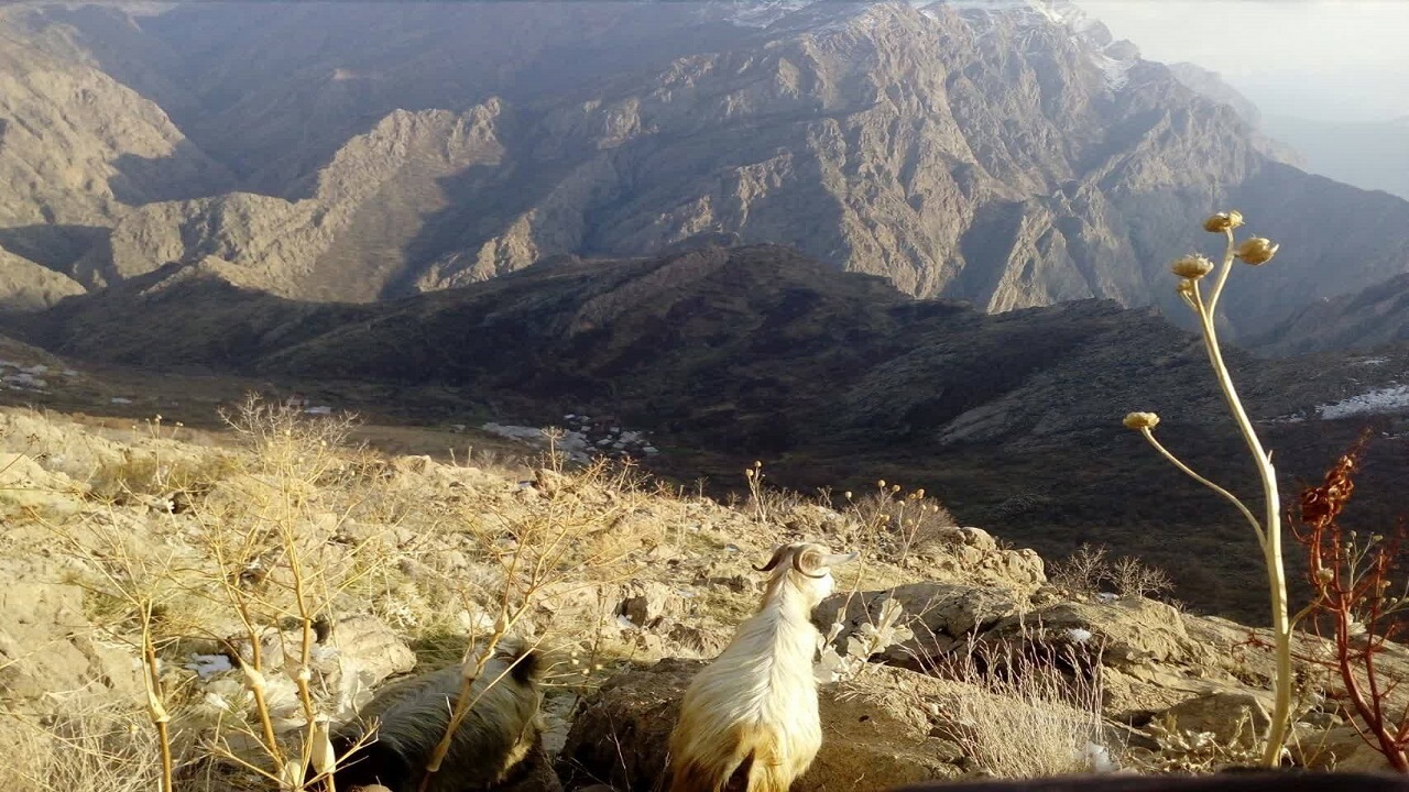 روستای بندول