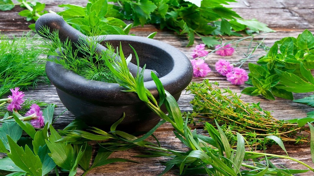 برگزاری کارگاه آموزشی کشت گیاه داروئی شاه زیره در تفت