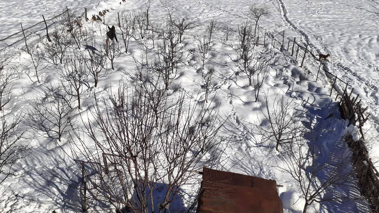 روستای حصار
