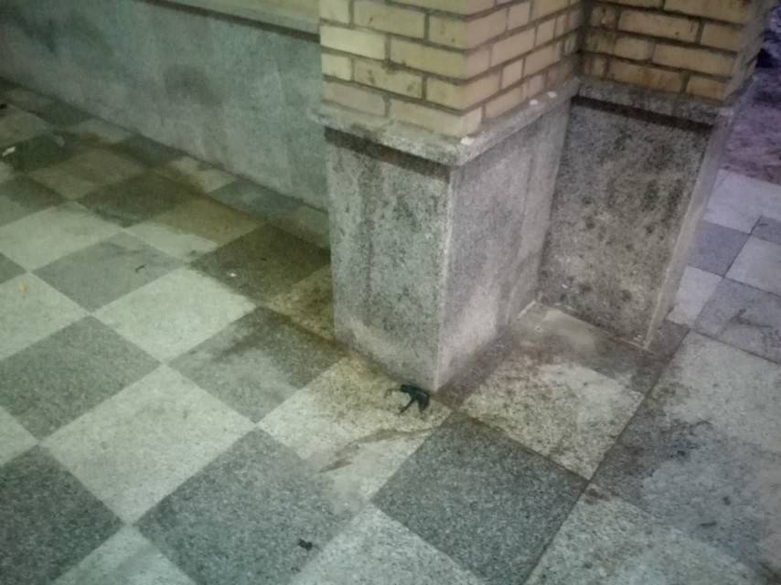 وضعیت نامناسب گلزار شهدای خرمشهر + تصاویر