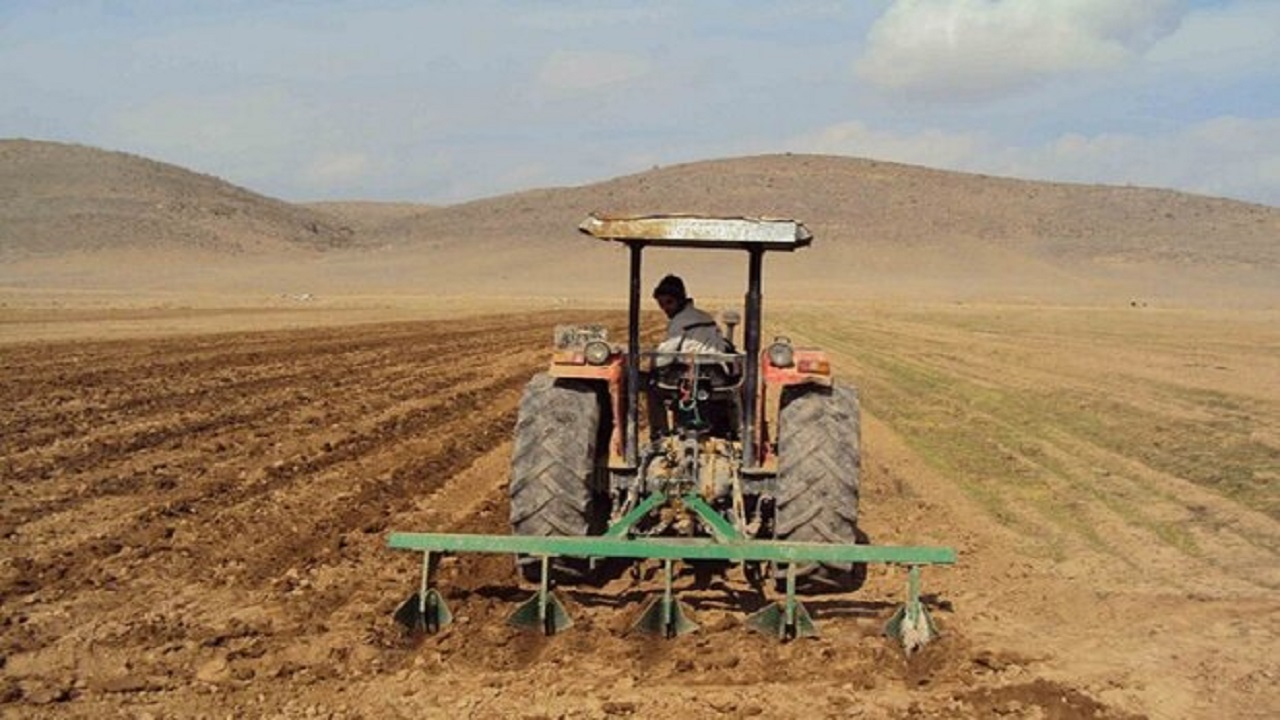 ۵۷۴ هزار هکتار کشت محصولات پاییزه در همدان