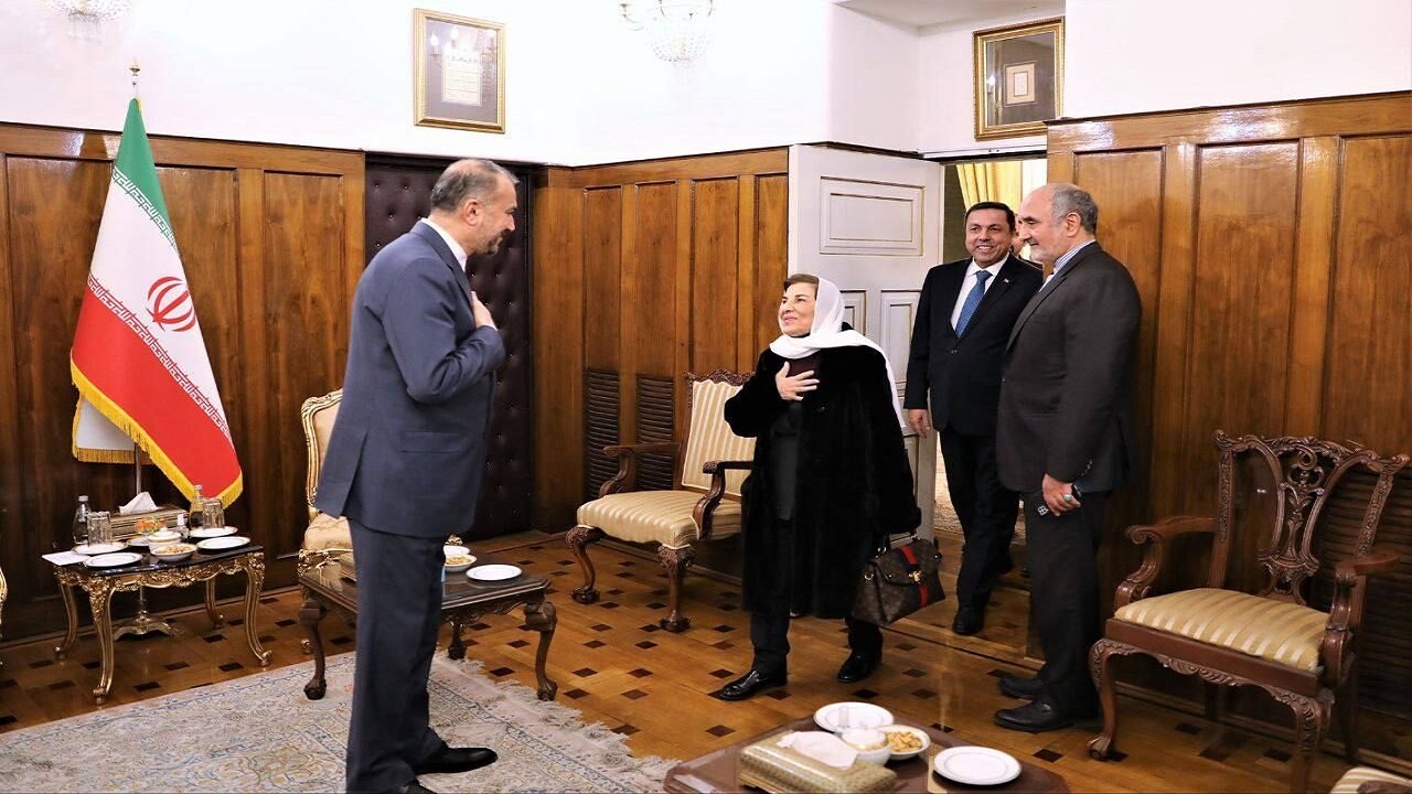 دیدار مشاور ارشد رئیس جمهور سوریه با امیرعبداللهیان