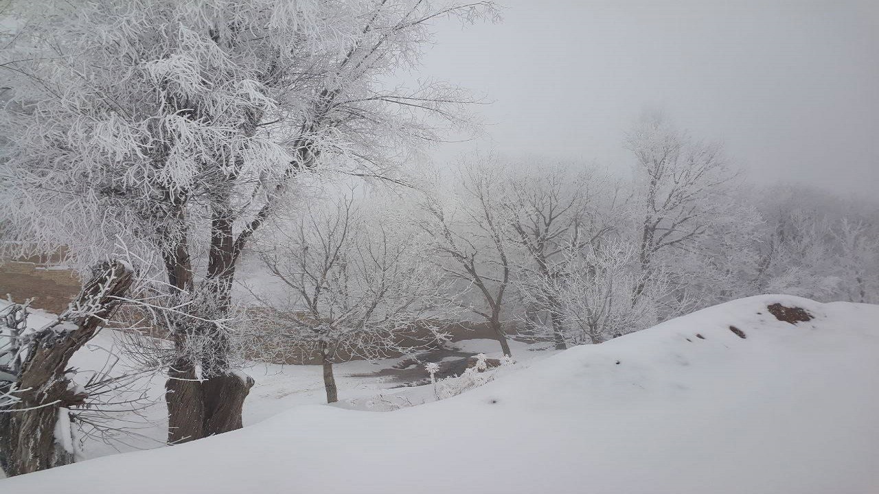 چشم اندازی زیبا از بارش برف روستای توآباد + فیلم