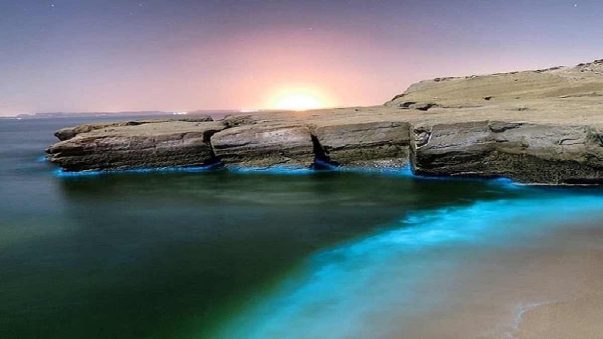 کمپی رویایی در دل طبیعت ایران + فیلم
