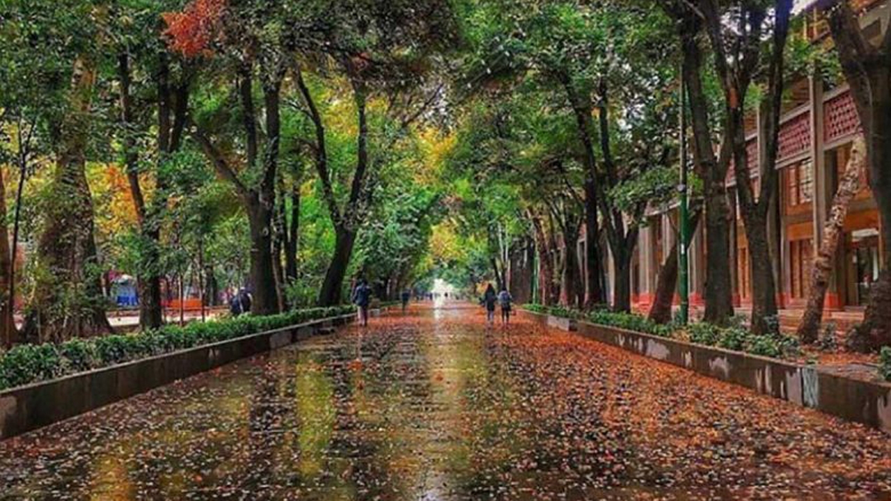 آزمون مدیران شهری اصفهان درباره آینده چهارباغ