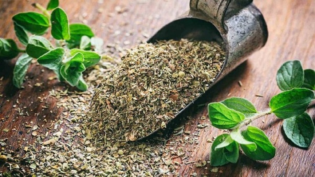 چه کسانی نباید آویشن مصرف کنند؟