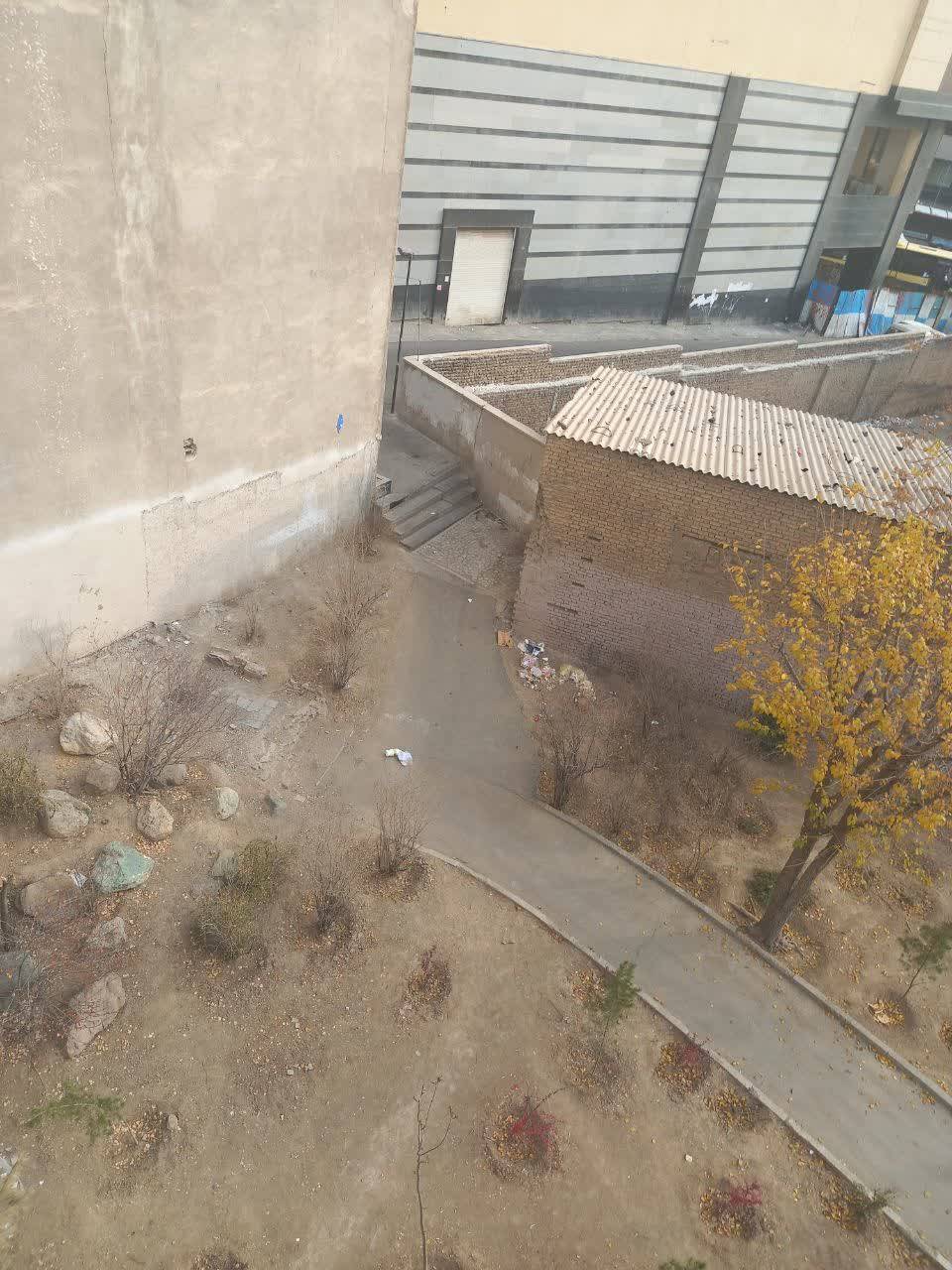 مخروبه