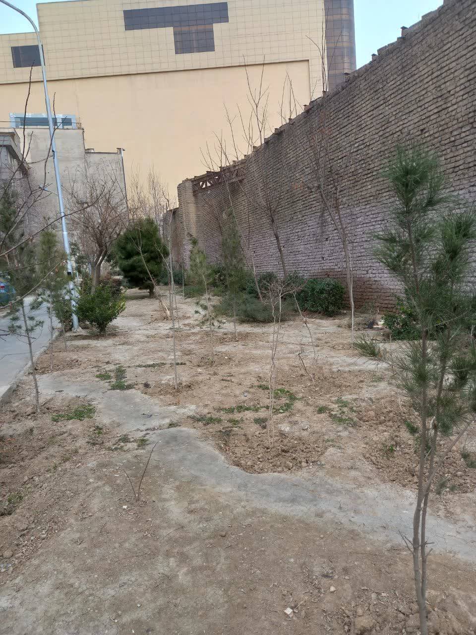 صادقیه