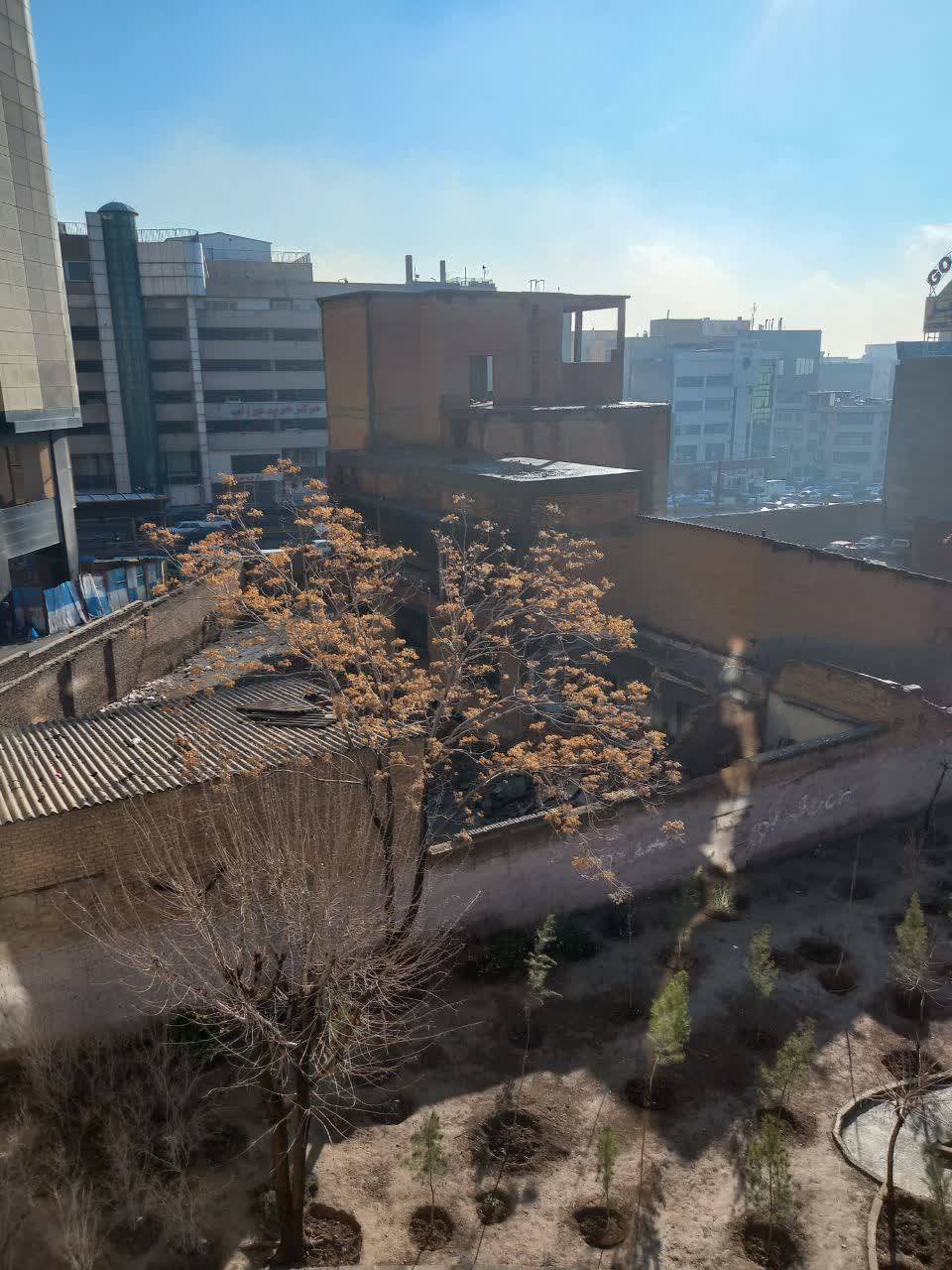پارک و بوستان