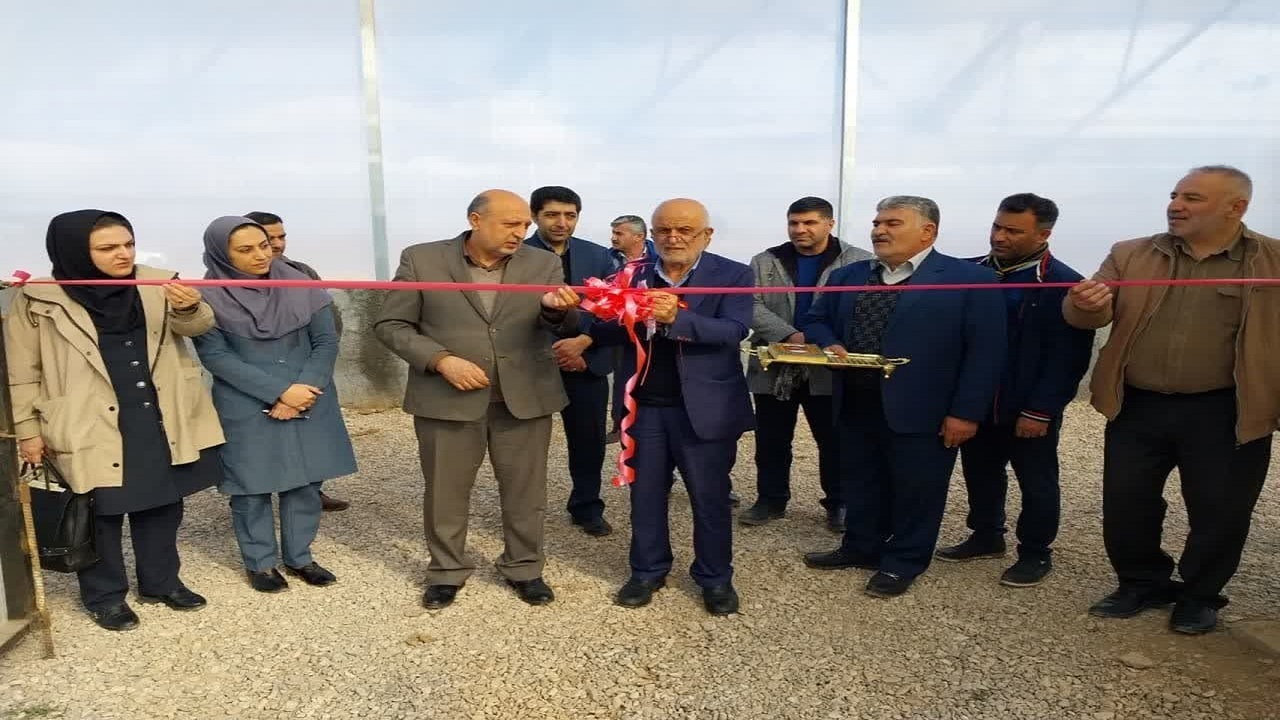 افتتاح یک طرح باغبانی در تاکستان