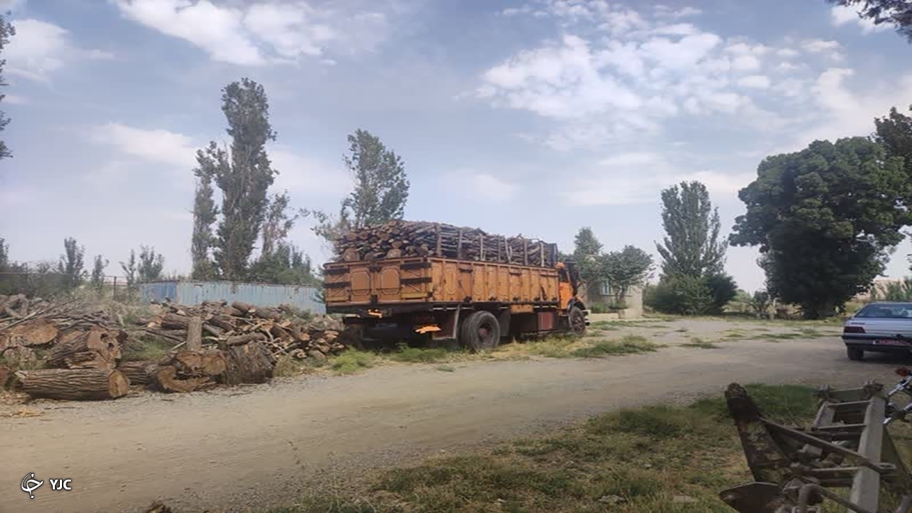۴۸ تن چوب قاچاق در مهاباد کشف شد
