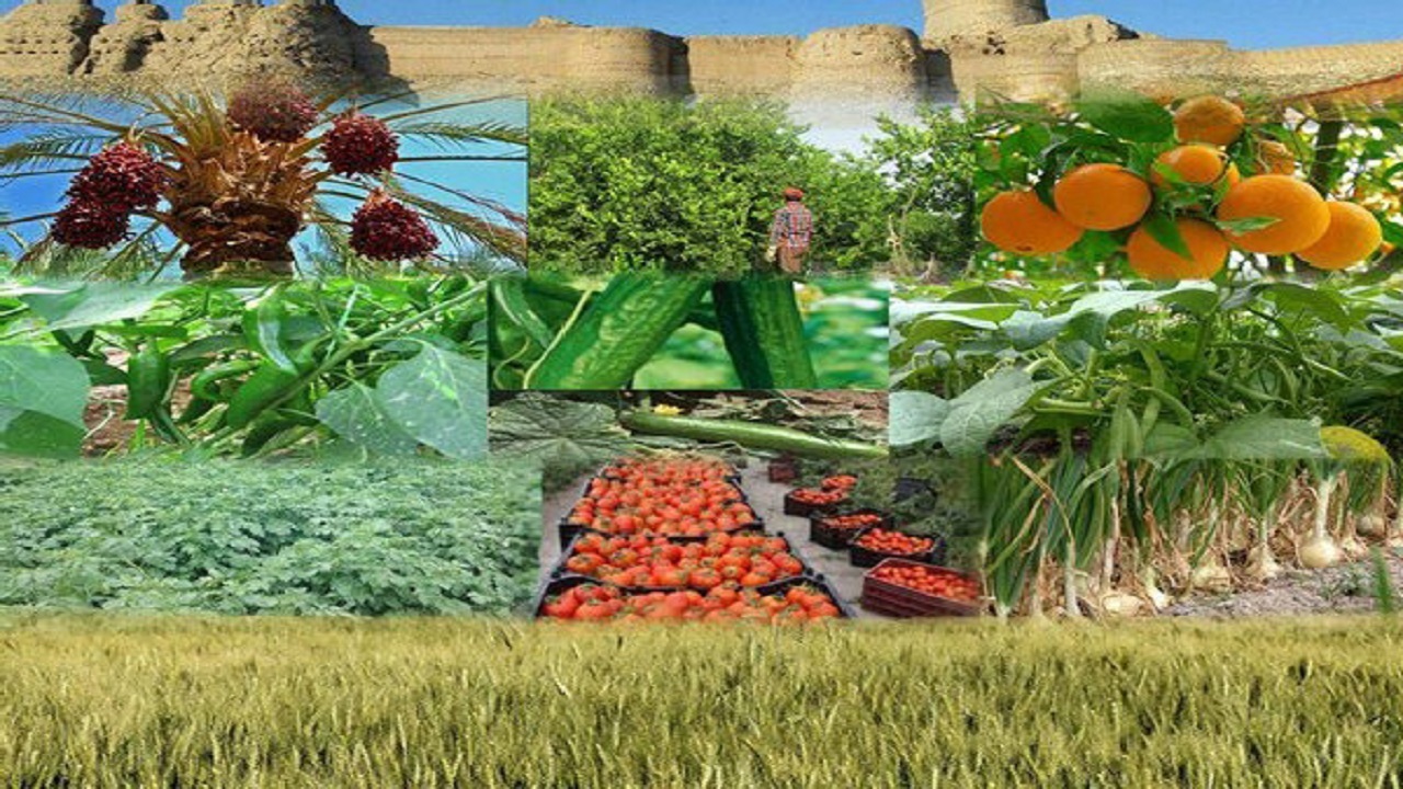 افتتاح طرح‌های جهاد کشاورزیِ یزد در دهه فجر