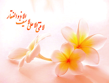 ولادت