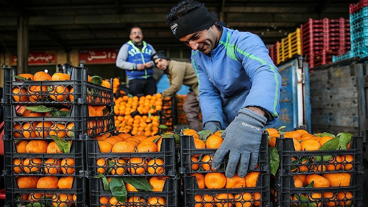 اهتمام جدی استان به تامین میوه شب عید با کمترین قیمت و بالاترین کیفیت