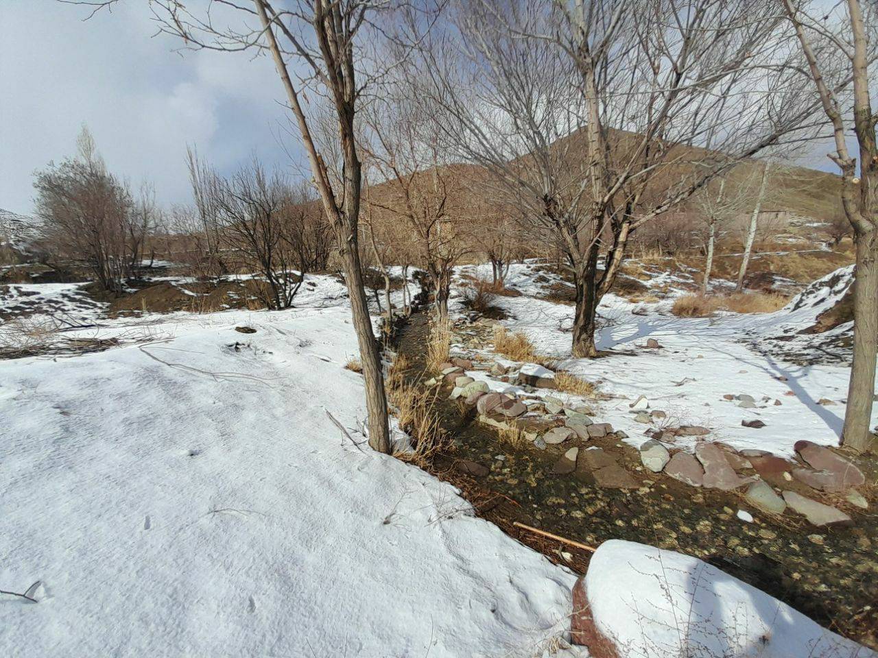 بارش برف زمستانی در کدکن خراسان رضوی+ عکس