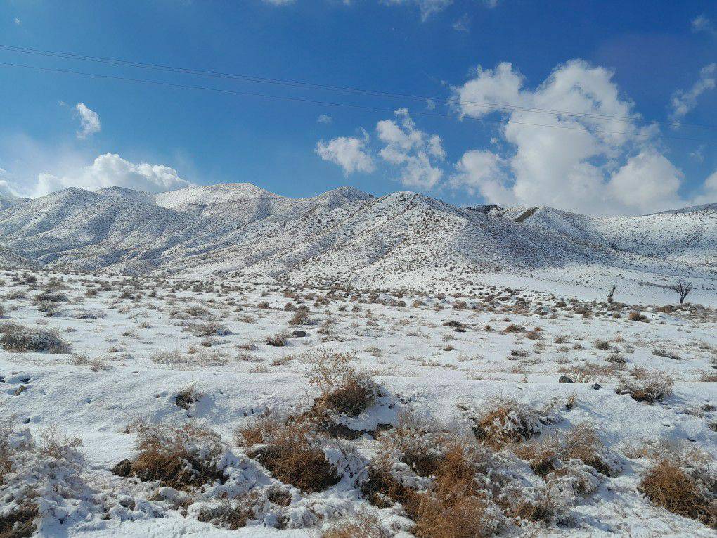 بارش برف زمستانی در کدکن خراسان رضوی+ عکس